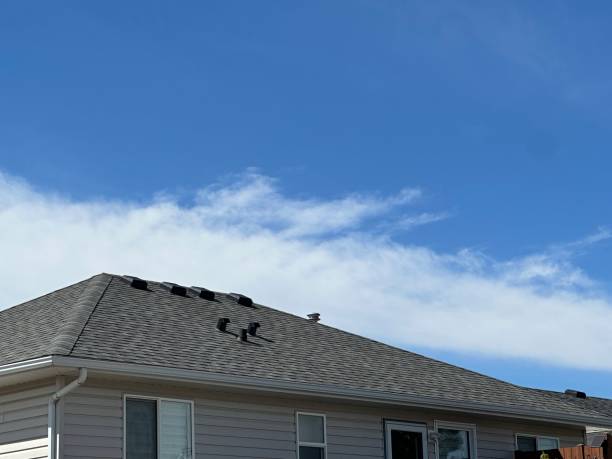 Trusted Dover Base Housing, DE Roofing Experts